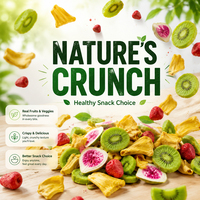 OEM Bulk VF Gebakken Gemengde Fruitchips 6 Soorten Kiwi Dragon Fruit Aardbei Jackfruit Gezonde Snack Natuurlijk 10kg Klaar om te eten 12