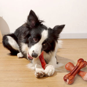 Üretici toptan sığır koku TPU naylon chew köpek simülasyon kemik oyuncak - Product Image 4