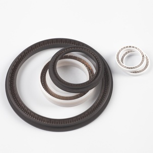 Quanseal Ressort PTFE Joint <span class=keywords><strong>CSS</strong></span> 1-1900 - Product Image 2