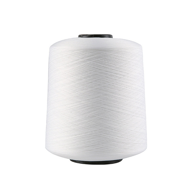 Wholesale 500g 150D/48F 100% Polyester Filament Dyed Eco-Friendly Sewing Thread Elastic Overlock Protective Clothing Locking