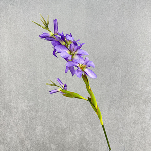 <span class=keywords><strong>Fleurs</strong></span> artificielles de lys <span class=keywords><strong>Canna</strong></span> à longues tiges pour bouquet de mariage, décoration intérieure, centre de table de bureau, arrangement floral réaliste - Product Image 5