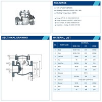 Clapet anti-retour à bride en acier inoxydable ANSI et JIS pour applications industrielles de conduites