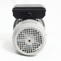 Moteur en cuivre pur série ML100L2-4 de haute qualité, monophasé à démarrage par condensateur, CE ISO, boîtier en aluminium pour pompes et ventilateurs