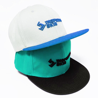 Fabrieksdirect groothandel zeshoekige platte pet met aanpasbaar logo, heren/dames, gangbare streetwear hiphop stijl