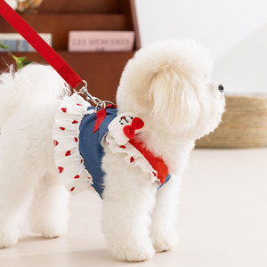 Adorable fraise <span class=keywords><strong>amour</strong></span> <span class=keywords><strong>coeur</strong></span> printemps été chien dessiner robe avec laisse - Product Image 3