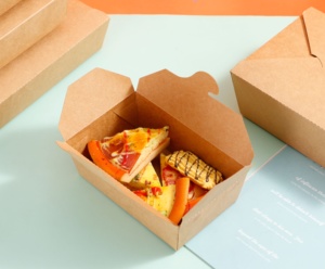 Large Sizes Paper Packaging Box for Takeout Food Delivery