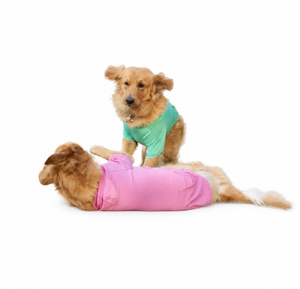 Ropa Casual para Perros, Ropa para Pasear Perros, Sudadera Linda para Perros, Ropa Moderna para Perros, Ropa Elegante para Perros, Suéter Navideño para Perros - Product Image 5