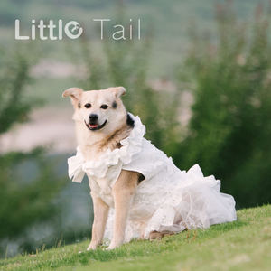 שמלת כלה כלב לבן שמלת כלה תחפושת גור שמלות כלה לכלבים קטנים בגדי כלב יוקרה pomeranian chihua - Product Image 2
