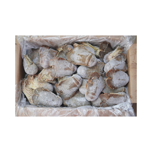 Harga kompetitif Lobster sandal HOSO Frozen asli Vietnam - Product Image 4