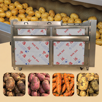Elektrische aardappelwas- en schilmachine SUS 304 borstelrol groente- en fruitverwerkingsapparatuur