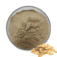 Bubuk akar Astragalus alami murni bubuk Astragalus