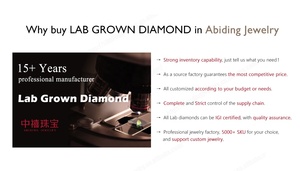 Abiding 5mm Round Excellent Cut Loose Diamond DEF VVS VS IGI Certificate Lab Diamond Certified 0.5 Carat Diamond - Product Image 4