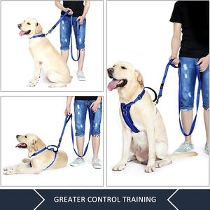 Tali anjing reflektif pegangan ganda produk penjualan laris baru untuk anjing ukuran sedang besar, tali anjing pegangan ganda panjang 6 kaki - Product Image 5