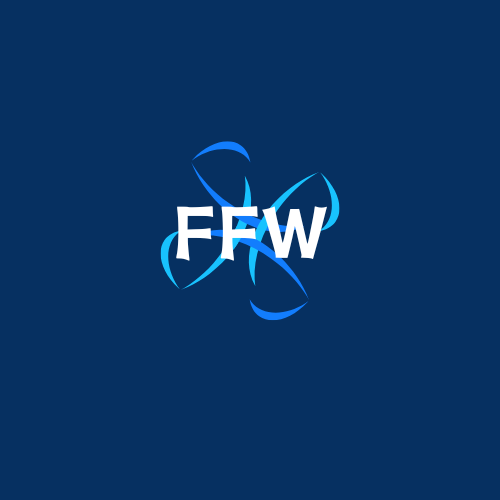 Shenzhen Flying Feather World Technology Co., Ltd.