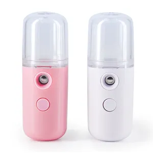 2024 Gezicht Vocht Apparaat Usb Oplaadbare Abs Mini Pocket Draagbare Nano Gezichts Nevel Spray Facial Steamer Nano Mister