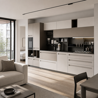 Meubles de cuisine modernes et minimalistes de luxe, solution de mobilier sur mesure pour toute la maison, pour projets résidentiels