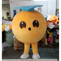 Costume de mascotte scolaire personnalisé de haute qualité Shengye, personnage de dessin animé jaune, pour événement d'anniversaire, publicité
