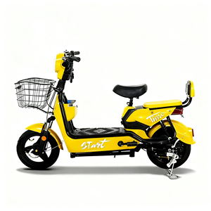 มอเตอร์ฮับหน้าแบบไร้แปรงถ่าน 48v/60v 350w/500w/1000w สำหรับผู้ใหญ่ รุ่น Ns-022 ระยะไกล ขายส่งจากโรงงาน ราคาพิเศษ - Product Image 1