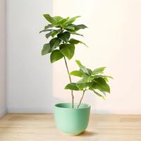 Feuilles de figuier artificielles de haute qualité de 130 cm, vertes toute l'année, pour la décoration intérieure, lot multi-pièces pour mariage, Pâques, nouveautés
