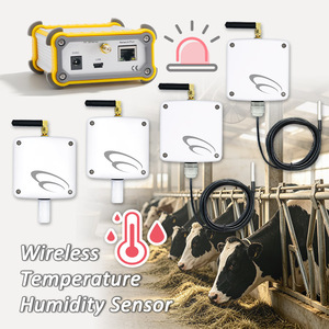 Sensor digital inteligente de temperatura y humedad a prueba de agua, sensor y transmisor de temperatura IoT para equipos industriales remotos - Product Image 1
