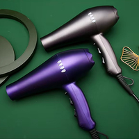 Sèche-cheveux professionnel puissant de dernière génération, fabriqué par un fabricant de sèche-cheveux avec moteur AC, pour salon