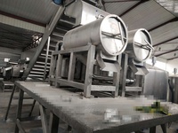 Commerciële mango-pulper en pasteurisatiemachine, aseptische puree-vul- en verwerkingslijn