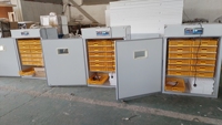 Machine d'incubation automatique pour œufs de volaille 5280, solaire ou électrique
