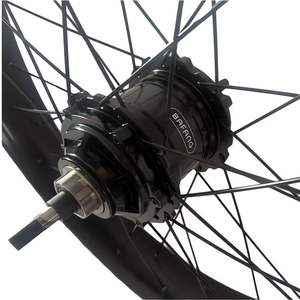 Joyebikes Vente en gros de moyeu de vitesse interne <span class=keywords><strong>BAFANG</strong></span> RG A510, moyeu de vitesse automatique à 5 vitesses, <span class=keywords><strong>moteur</strong></span> de moyeu <span class=keywords><strong>750W</strong></span> 1000W pour vélo électrique - Product Image 4