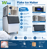 Machine à glace en flocons WICE, machine à fabriquer des flocons de glace, machine à glace en paillettes