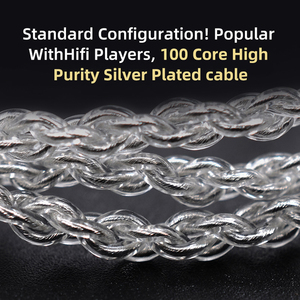 Tai Nghe Nhét Tai KZ ZSN Pro X, Tai Nghe Kim Loại Hybrid 1BA + 1DD, Tai Nghe Thể Thao Chống Ồn, Cập Nhật KZ ZSN Pro - Product Image 5