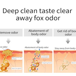 Spray Corporal de 30 ml de Marca Privada al por Mayor de Fábrica, Desodorante Fresco de Larga Duración con Aroma Limpio - Product Image 4