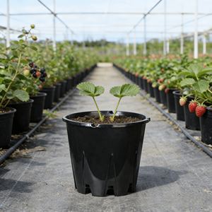 Maceta Moderna de Plástico Grueso para Cultivo de Arándanos con Orificio de Drenaje, Gran Capacidad para Centros Comerciales y Plantas de Exterior - Product Image 1