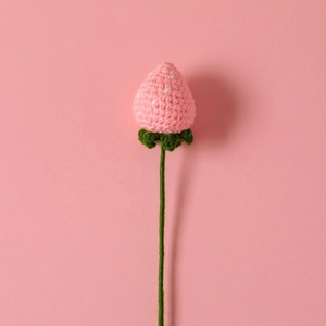 Kit de Tejido a Mano V320, Fresa de Ganchillo, Flores de Hilo de Lana para Regalo de Enamorados, Decoración de Bodas, Manualidades - Product Image 4