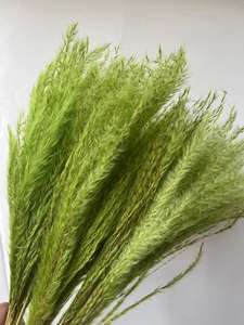 Brosse à <span class=keywords><strong>cheveux</strong></span> douce, bouquet <span class=keywords><strong>de</strong></span> <span class=keywords><strong>fleurs</strong></span> <span class=keywords><strong>séchées</strong></span>, décoration d'intérieur, Pâques, Halloween, vente en gros d'usine - Product Image 3