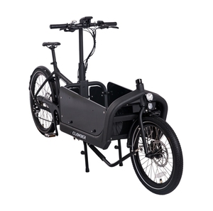 Two Wheel Bike/electric for CHEETAH-E 2 Wheel <b>Trike</b> Two Wheel Bike/electric for CHEETAH-E CHEETAH-E 2 Wheel <b>Trike</b> - Product Image 2