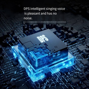 Altavoz Inalámbrico para Sistema de Karaoke al por Mayor, OEM ODM, con Luces LED RGB y 2 Micrófonos para Fiestas y Uso en Exteriores - Product Image 6