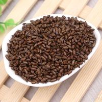 Manfaat Kesehatan Biji Cassia Herbal Cina Pembersihan Hati Detoksifikasi Biji Cassia