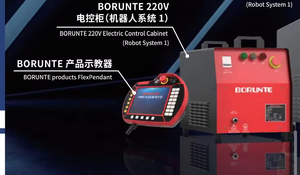 BRTIRUS1820A BORUNTE Bras robotisé articulé industriel à 6 axes, portée 1800 mm, charge utile 20 kg pour machine de poinçonnage/moulage sous pression - Product Image 3