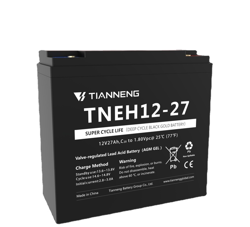 Tianneng 12v 9 Ah Power Lead