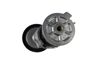 Tensor de Correa en V para VOLKSWAGEN AMAROK 038903315AP