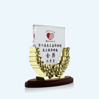 Trophée en cristal fabriqué sur mesure en chine avec base en bois logo personnalisé accepté artisanat en cristal