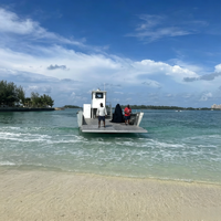 Barge de débarquement en aluminium de 15 m (50 pieds) avec excavatrice pour le transport de marchandises et la pêche