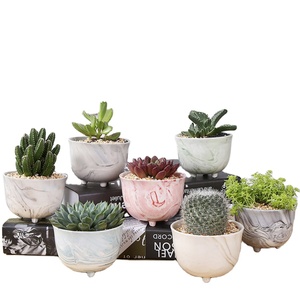 Nouveau design arrangement floral pour mariage à l'hôtel, pot de plante <span class=keywords><strong>en</strong></span> <span class=keywords><strong>lévitation</strong></span>, <span class=keywords><strong>mini</strong></span> pot de plante flottant, bougeoir pour pot de plante succulente - Product Image 1