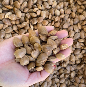 Semillas de almendras naturales secas horneadas nuevas de alta calidad con cáscaras rotas para alimentos - Product Image 3