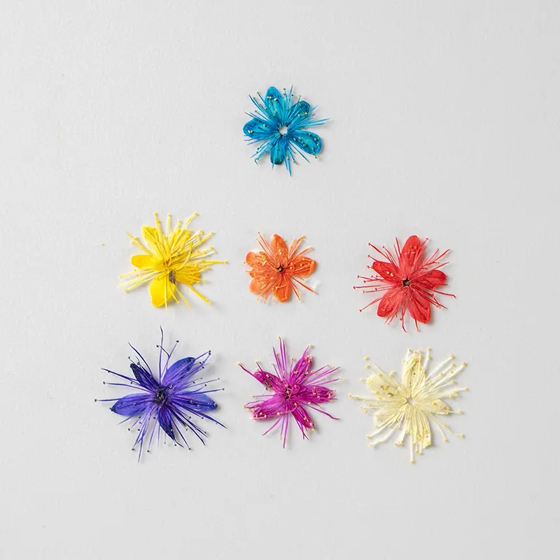 Flores secas belo design vela fazer sabão diy material seco prensado flores secas de resina
