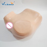 Modèle d'examen gynécologique avancé / pour la formation aux examens bimanuels et rectovaginale, avec col de utérus interchangeable et placement d'DIU
