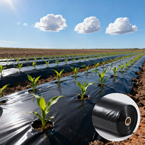 فيلم تغطية زراعي من SERNZO بسماكة 30 ميكرون من البولي إيثيلين منخفض الكثافة، أسود مع ثقوب، لفائف بلاستيكية للخضروات مصنوعة بالنفخ، عمر خدمة طويل، 0.5 متر - 20 متر - Product Image 1