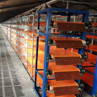 Fourniture directe d'usine de haute qualité cages à cailles de pondeuse automatique à vendre avec plateaux à œufs de caille Travail facile