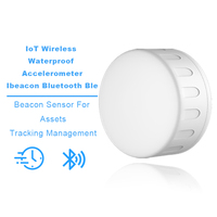 Holyiot Hız Ölçer Bluetooth Beacon Su Geçirmez Konum Belirleyici Ble 5.0 Eddystone Ibeacon Pazarlama İçin