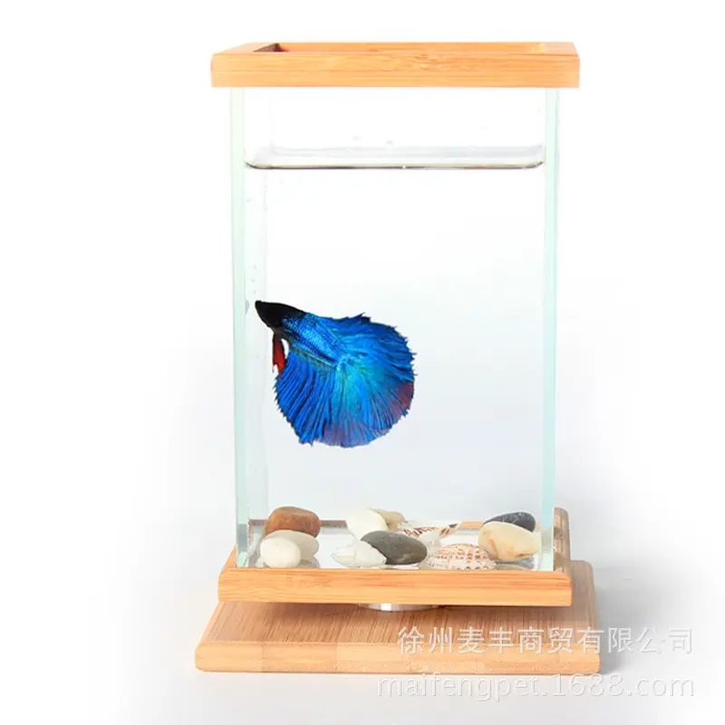 Mini Aquarium de poissons, pièces, art créatif, décoration pour la maison, en verre, blanc